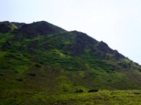 DSC00628